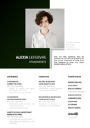 modèle de cv standardiste