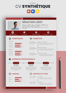 modèle cv synthétique rouge