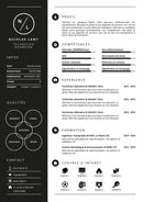 modèle cv géomètre