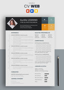 modèle cv web gris et jaune