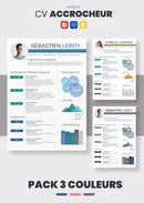 cv premium accrocheur