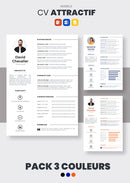Pack cv attractif