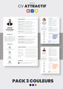 KOMPLETTES PAKET: Unbegrenzter Zugriff auf ALLE Lebenslaufvorlagen