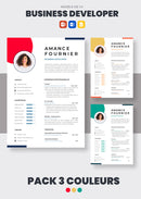 pack cv business developer