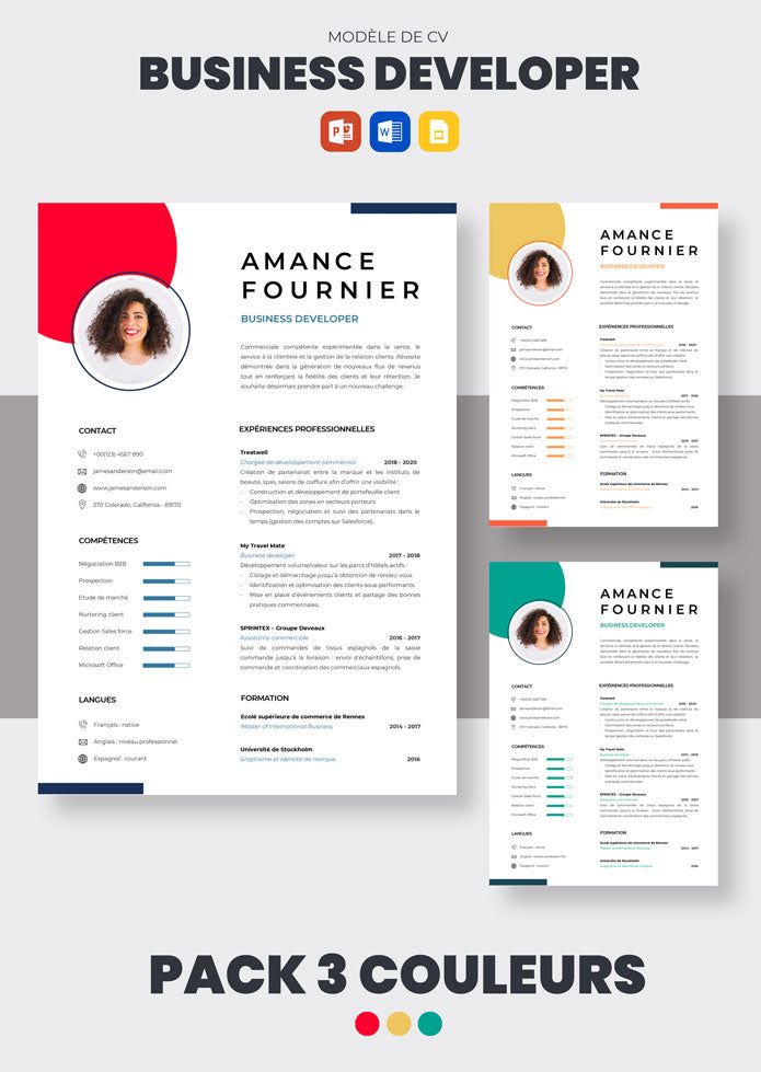 CV Business Developer à télécharger (Exemples) | CV Market
