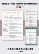 pack cv conseiller en insertion professionnelle