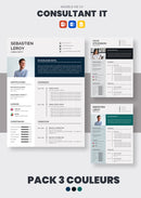 pack cv consultant informatique