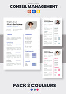pack cv consultant en management