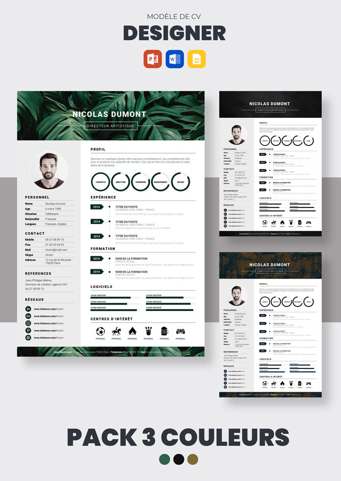 CV Designer graphique à Télécharger (Exemples) | CV Market