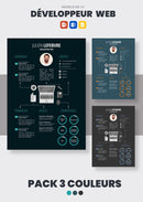 pack cv développeur web