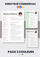 pack cv directeur commercial