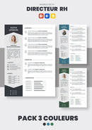 curriculum vitae DRH