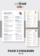 Pack cv épuré