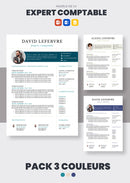 pack cv expert comptable