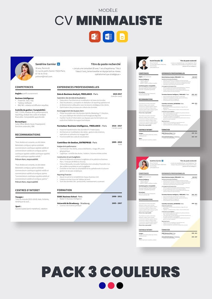 CV Minimaliste - Modèle de CV simple (Télécharger) | CV Market