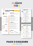 Pack cv gratuit original