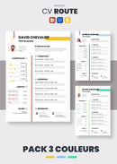 KOMPLETTES PAKET: Unbegrenzter Zugriff auf ALLE Lebenslaufvorlagen