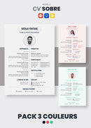 KOMPLETTES PAKET: Unbegrenzter Zugriff auf ALLE Lebenslaufvorlagen