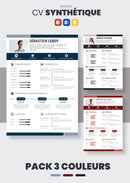 Pack cv synthetique
