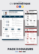 KOMPLETTES PAKET: Unbegrenzter Zugriff auf ALLE Lebenslaufvorlagen